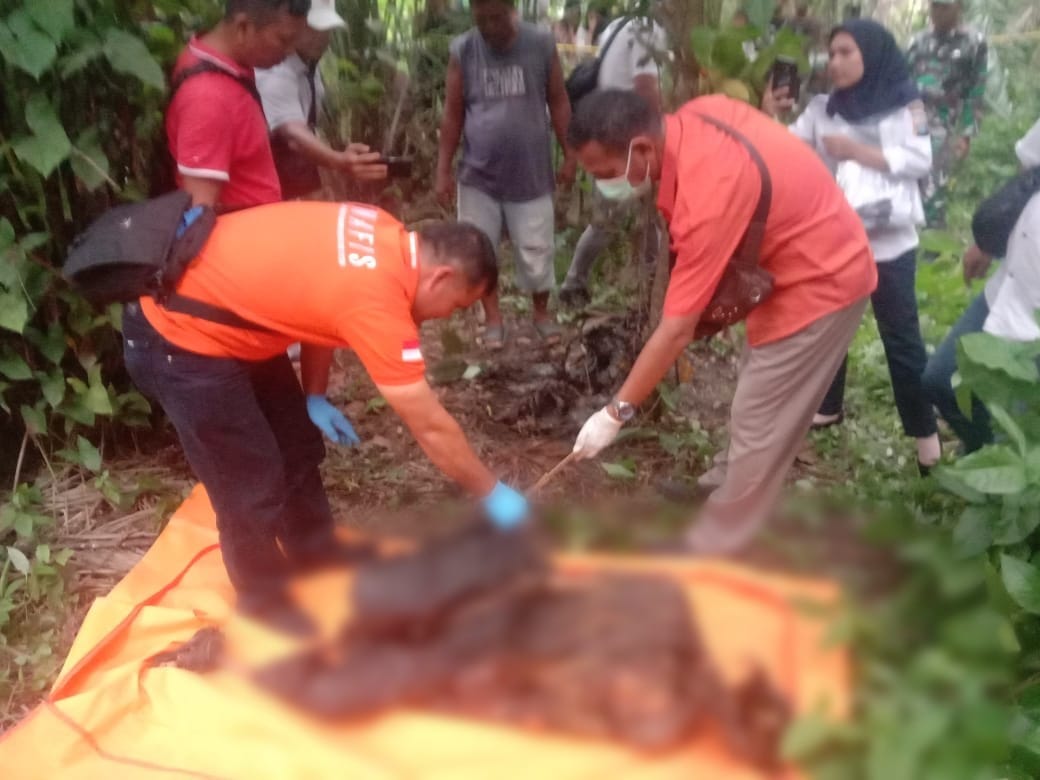 Polsek Perdagangan Evakuasi Pensiunan Karyawan BUMN Ditemukan Meninggal di Kebun Kelapa Sawit Simalungun